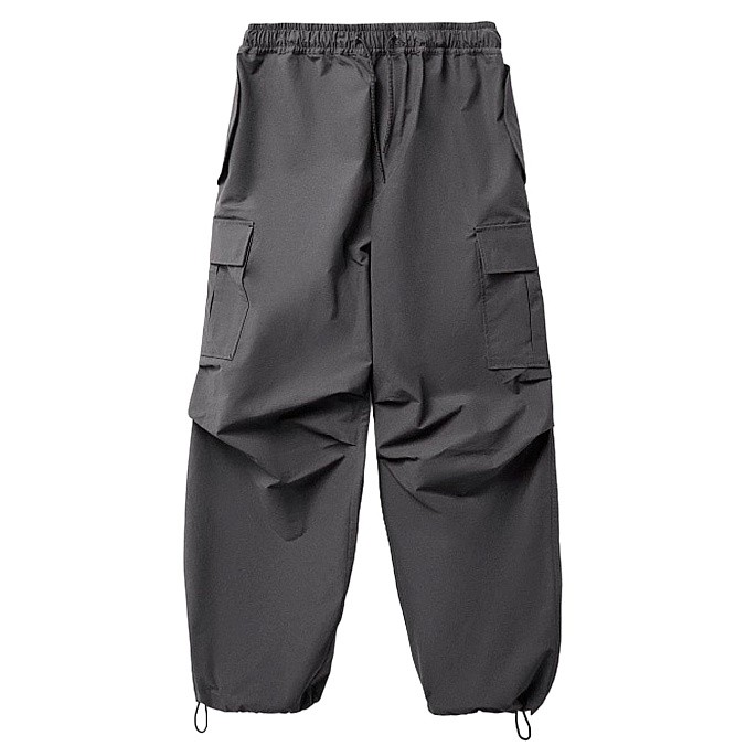 Брюки Anteater Parachute Cargo