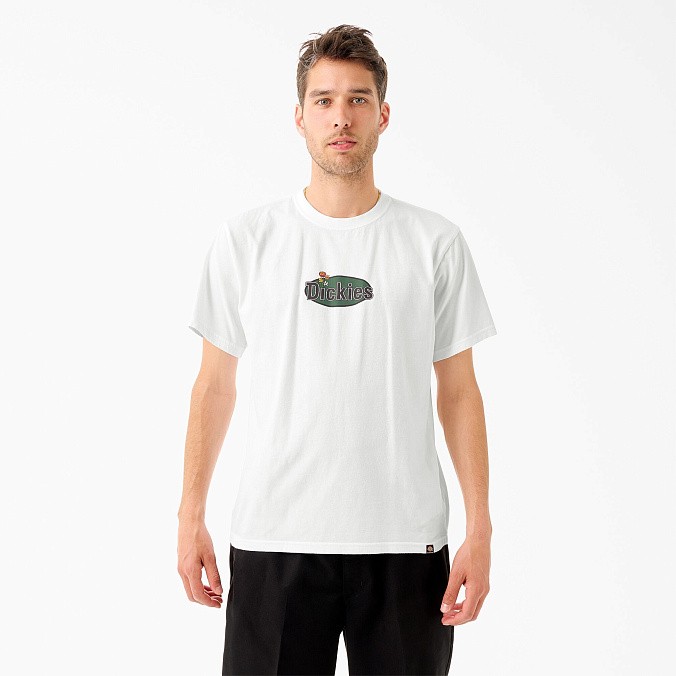 Футболка Dickies Skateboarding Tom Knox Graphic T-Shirt White